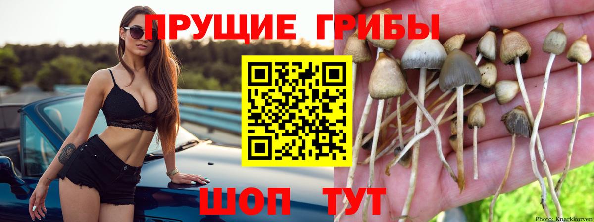 Галлюциногенные грибы GOLDEN TEACHER Усть-Илимск
